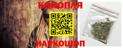 гидропоника Гусев
