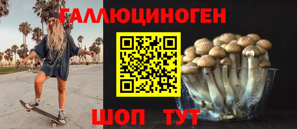 Псилоцибиновые грибы Psilocybine cubensis Уварово